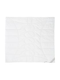 Vegane Bettdecke mit Kapokfaser und Baumwolle, leicht, Bezug: 100% Baumwolle, Weiss, 240 x 220 cm