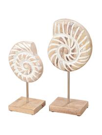 Set 2 conchiglie decorative Ana, Legno di mango, metallo, Legno di mango, bianco, Set in varie misure