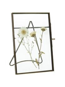 Cornice  per foto Dried Flower, Metallo rivestito, Ottonato, 10 x 15 cm