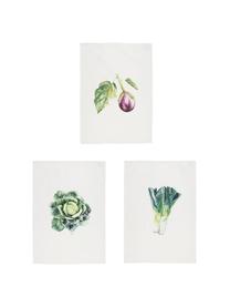 Komplet ręczników kuchennych Primeur, 3 elem., Bawełna, Biały, zielony, lila, S 50 x D 70 cm