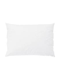 Garnissage de coussin garnissage duvet/plumes Premium, 40 x 60, Blanc