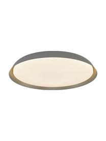 Plafoniera a LED grigia Piso, Paralume: metallo rivestito, Grigio, Ø 37 x Alt. 5 cm