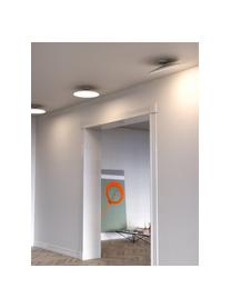LED-Deckenleuchte Alba in Weiss, Lampenschirm: Aluminium, Weiss, Ø 40 x H 12 cm
