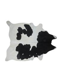 Tappeto in pelle di mucca Otto, Pelle di mucca, Nero, bianco, Pelle di mucca unica 975, 160 x 180 cm