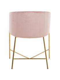 Sedia con braccioli in velluto Nelson, Rivestimento: velluto di poliestere Con, Gambe: metallo ottone placcato, Rosa cipria, Larg. 56 x Prof. 55 cm