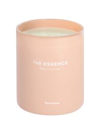 Bougie parfumée The Essence, Rose, blanc