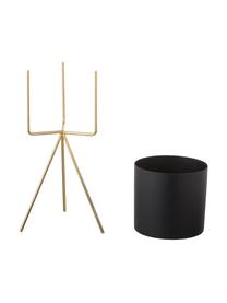 Petit cache-pot noir sur pied Pedestal, 2 élém., Métal, laqué, Noir, Lot de différentes tailles