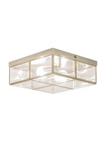 Malé stropní svítidlo Ben, Zlatá, transparentní, Š 26 cm, V 10 cm