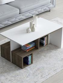 Tavolino da salotto con contenitore Dilay, Truciolare melaminico, Bianco, legno scuro, Larg. 100 x Alt. 60 cm