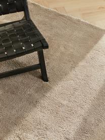 Načechraný koberec s vysokým vlasem Leighton, Hnědá, Š 300 cm, D 400 cm (velikost XL)