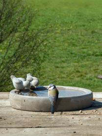Baño para pájaros Bettany, Gris cemento, Gris, Ø 29 x Al 11 cm