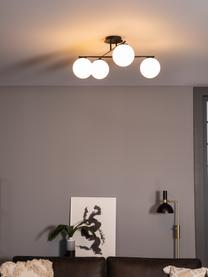 Lampada da soffitto in vetro opale Atlanta, Baldacchino: metallo verniciato a polv, Nero, Larg. 65 x Alt. 30 cm