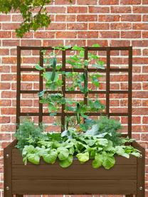 Pergola Gertrude, Drewno sosnowe, Brązowy, S 78 x W 85 cm