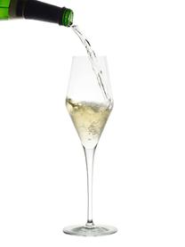 Krištáľové poháre na šampanské Quatrophil, 6 ks, Krištáľové sklo, Priehľadná, Ø 8 x V 26 cm, 290 ml