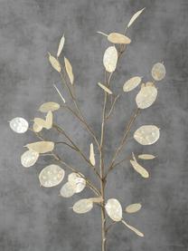 Rama decorativa Laluna, Plástico, Marrón, L 15 x Al 91 cm
