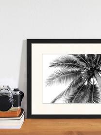 Oprawiony druk cyfrowy Coconut Palm Tree, Czarny, biały, S 43 x W 33 cm