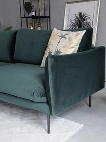 Fluwelen bank Moby (3-zits) met metalen poten, Bekleding: fluweel (hoogwaardig poly, Frame: massief grenenhout, FSC-g, Poten: gepoedercoat metaal, Fluweel donkergroen, B 220 x D 95 cm
