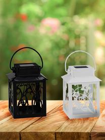 Set 4 lanterne solari da esterno Garden-Lantern, Lanterne: metallo rivestito, Multicolore, Larg. 8 x Alt. 13 cm