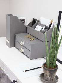 Büro-Organizer Birger, Organizer: Fester, laminierter Karto, Hellgrau, Silberfarben, B 33 x H 14 cm