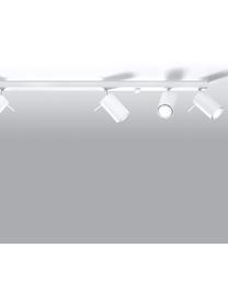 Faretti da soffitto grandi Etna, Paralume: acciaio verniciato, Baldacchino: acciaio verniciato, Bianco, Larg. 117 x Alt. 16 cm
