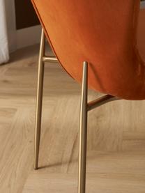 Sedia imbottita in velluto di Chris Glass Tess, Rivestimento: velluto (poliestere) Con , Gambe: metallo verniciato a polv, Velluto arancione, dorato, Larg. 49 x Alt. 84 cm