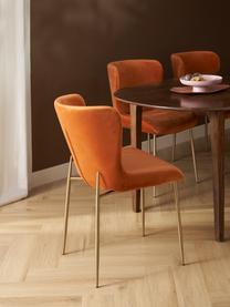 Sametová čalouněná židle Tess od Chris Glass, Oranžová, zlatá, Š 49 cm, V 84 cm