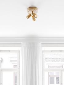 Faretti da soffitto piccoli Correct, Paralume: metallo rivestito, Baldacchino: metallo rivestito, Dorato, Ø 20 x Alt. 14 cm