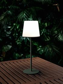 Dimmbare Tischlampe Fausta mit USB-Anschluss, Lampenschirm: Kunststoff, Lampenfuß: Metall, beschichtet, Grün, Weiß, Ø 13 x H 37 cm