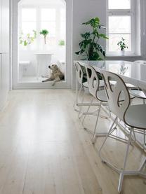 Sedia in legno bianca Maple, Seduta: compensato laminato, Bianco, Larg. 51 x Prof. 49 cm
