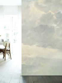 Papel pintado Golden Age Clouds, Tejido no tejido, ecológica y biodegradable, Gris, beige mate, An 292 x Al 280 cm