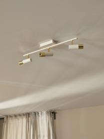 LED-Deckenstrahler Bobby in Weiß-Gold, Baldachin: Metall, pulverbeschichtet, Weiß, B 66 x H 13 cm
