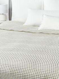 Narzuta z piki waflowej Allie, 100% bawełna

Ten produkt został przetestowany pod kątem substancji szkodliwych i certyfikowany zgodnie z STANDARD 100 by OEKO-TEX®6457CIT, CITEVE, Zielony, beżowy, S 230 x D 250 cm