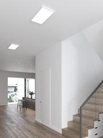 Stmívatelný LED panel Harlow, Bílá, Š 60 cm, V 3 cm