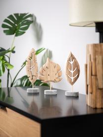 Dekorácia Blatt, 3 diely, Sivá, drevo paulovnie, Súprava s rôznymi veľkosťami