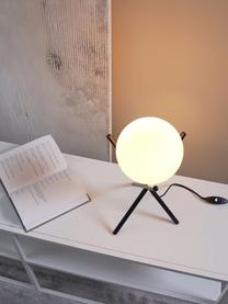 Kleine Tripod Tischlampe Erik mit Glasschirm, Lampenschirm: Glas, Lampenfuß: Metall, pulverbeschichtet, Weiß, Schwarz, Ø 15 x H 33 cm