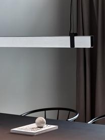 Grote dimbare LED hanglamp Lilt, Lampenkap: metaal, Decoratie: gecoat metaal, Baldakijn: gepoedercoat metaal, Geborsteld staalkleurig, 115 x 10 cm