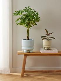 Kleine plantenpot Bryn, Keramiek, Saliegroen, Ø 14 x H 18 cm
