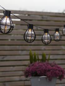 Guirlande lumineuse extérieur Cage, 280 cm, 8 lampions, Noir, transparent, long. 280 cm