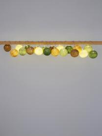 Ghirlanda  a LED Colorain, 378 cm, 20 lampioni, Lanterne: poliestere, certificata W, Beige, tonalità marroni e verdi, Lung. 378 cm