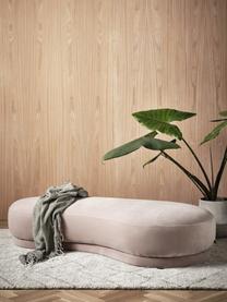 Samt-Sitzbank Coconino, gepolstert, Bezug: Baumwollsamt (89% Baumwol, Rahmen: Kiefernholz, Samt Beige, B 160 x H 36 cm