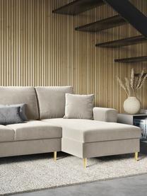 Divano letto angolare 3 posti in velluto con contenitore Moghan, Rivestimento: 100% velluto di poliester, Struttura: legno di pino massiccio, , Piedini: metallo rivestito, Velluto beige, ottonato, Larg. 241 x Prof. 145 cm, chaise-longue a destra
