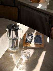 Carafe avec filtre Purifier, 2.4 L, Couleur argentée, transparent, Lot de différentes tailles