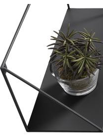 Metall-Wandregal Teg in Schwarz, Metall, lackiert, Schwarz, B 40 x H 20 cm