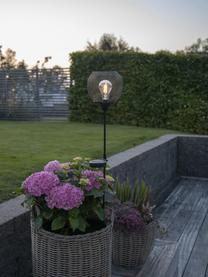 Lámpara solar LED para exterior Sunlight, Lámpara: metal recubierto, Negro, Ø 16 x Al 76 cm