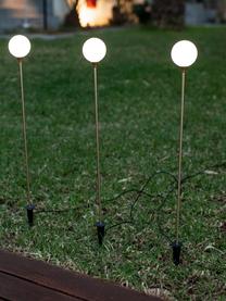 Solární LED svítidla Bruna, 3 ks, Transparentní, zlatá, černá, Ø 8 cm, V 80 cm