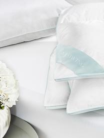 Cuscino medio con piume Standard, Rivestimento: 100% cotone, twill maco c, Bianco, Larg. 40 x Lung. 80 cm
