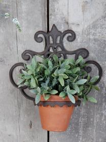 Wandplantenpothouder Marina, Gecoat metaal, Bruin, B 30 cm x H 32 cm