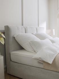 Łóżko kontynentalne Oberon, Nogi: tworzywo sztuczne, Jasnoszara tkanina, S 140 x D 200 cm, stopień twardości H2