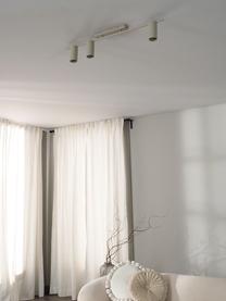 Veľká stropná lampa Cassandra, Béžová, matná, Š 80 x H 16 cm