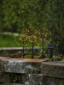 Solární zahradní osvětlení Firework, Černá, D 300 cm